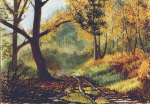 Woodland Path