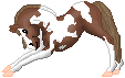 BM Treasure, chestnut tobiano made by Everlyn