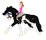 LS Black Berries is black sabino thoroughbred stallion, for breeding