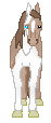 DHR Face To Charon - cute chocolate colored pinto, odd-eye, out of Face The Music by Chevrolet, for breeding