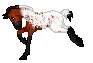 WCS Mixing Chocolate , bay appaloosa out of Chocolate Milkshake by Restless Soul