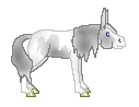 DHR Cream Dawn, silver tobiano donkey mare out of Dawn by albino jack