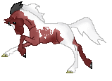 DHR My Economy Rose, cute strawberry roan pinto out of My Blue Rose by Enhanced Image