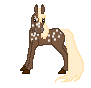 LS Dazzle, liver chestnut appaloosa mare