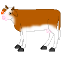 Edsalls Baudin