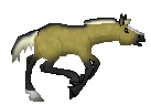 CN El Paso, my first cute fjord stallion made by Amaya i love him!!