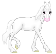 OS Silver Dreams, lovely albino filly out of Penny Lane by Silver Dollar
