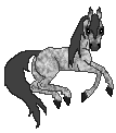 OS Silver Shrew, cute arabian mare, silver dappled out of Silver Sparkle by Simon Sharav