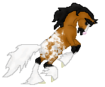 OS Sleep Dazzle, adorable fraft stallion out of Razzle Dazzle by Slippery Peter