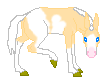 LS Amera Spiral, palomino pinto mule mare out of Alexis Pearl by Chocolate Spiral