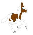 LS Fancy, chestnut pinto mule mare