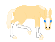 LS Haly, palomino mule mare