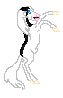 LS Maximu, black splashed stallion
