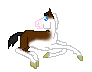 LS Moonlight Fire, bay splashed, blue eyed filly out of DHR Moonlight Flame by Red Fire, SOLD TO Stetson