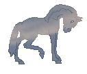 LS Powder Sky, colored mare, she is made from my photo, so she is unique, 250 pts
