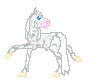 LS Sirroq is appaloosa mini stallion