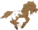 DWS Something Special, really cuuute chestnut mustang mare with blanket, made by Saim