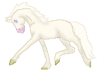 OS Whipped Cream, cremello thoroughbred mare