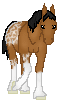 DWS My Sassy Kat, cute light bay draft/appaloosa mare made by Saim