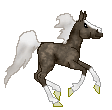 OS Silver Shimmering Zephyr is my new arabian mare, bay silver dapple, she is really perfect!!