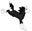 DWS Painted Midnight, so cute black minimal tobiano stallion made by Saim
