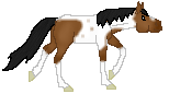 DWS Above The Clouds, bay tobiano mare, made by Saim