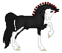 DWS Demonic, awesome black sabino hannoverian stallion made by Saim