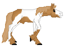 DWS Perfect Maked, this is so sweet Paint horse stallion, chestnut tobiano, lol i love him. I have him from Saim, Thank you!! :)