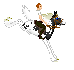 DHR Painted Moon, cute black pintaloosa stallion out of Confetti Moon by I Painted The Moon, for breeding