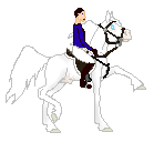 SID Pure Snow Tempest, pure saddlebred stallion, albino