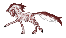 WCS Saameh is cute maximum sabino stallion, i have him from Shea as a gift