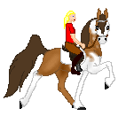 SID Lyrical Shake is my pure saddlebred mare, bay pinto out of Lyrical Beauty by Shavano