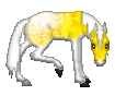 CN Falling Leaves, cute palomino appaloosa mare made by Amaya