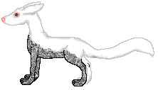 Romeo�s Shakira is marble female out of Shadow by Romeo