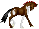 SID Amazing Geography, cute pinto warmblood mare out of Amy by Geoff