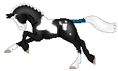 SID Light In The Darkness, cute warmblood pinto mare made by Katelin. Isn�t she perfect!