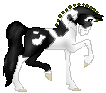 SID Written in Verse, awesome black pinto warmblood mare made by Katelin, i love herrrrr!!!