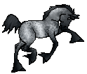 SID Blue Mist, blue roan draft cross mare