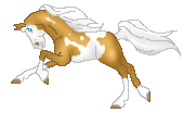 SID Golden Coins is beautiful palomino overo mare. Wow, she is made by Katelin, soooo cute!!
