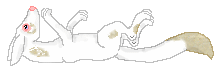 Sabinne, white foxette with coffe spots, out of Seinna by Secret