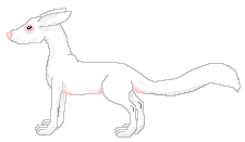 Sayma, lead foxette, albino female