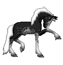CN I Need Light, silver black sabino stallion made by Amaya