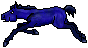 Space Cadet is blue colored foal
