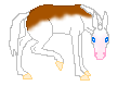 Splash Ruby, chestnut splashed white mule mare