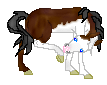 DHR Moonlight Flame, cute Paint horse mare, bay splashed white out of Moonlight Sonata by Bold Flame