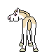 RR Tian, cute paint filly out of Tish by Carnan