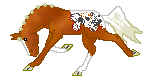 DHR Peanut Storm, cute flaxen chestnut warmblood mare with blanket, she is out of Sand Piper by DreamN up a Storm