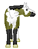 DHR Dun And Away, cute dun tovero Paint horse mare