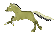 DHR The American Way, cuuute fjord mare made by LeAnne