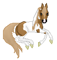 OS Millenium Rose, a sweet little chestnut pintabian mare made by Alex